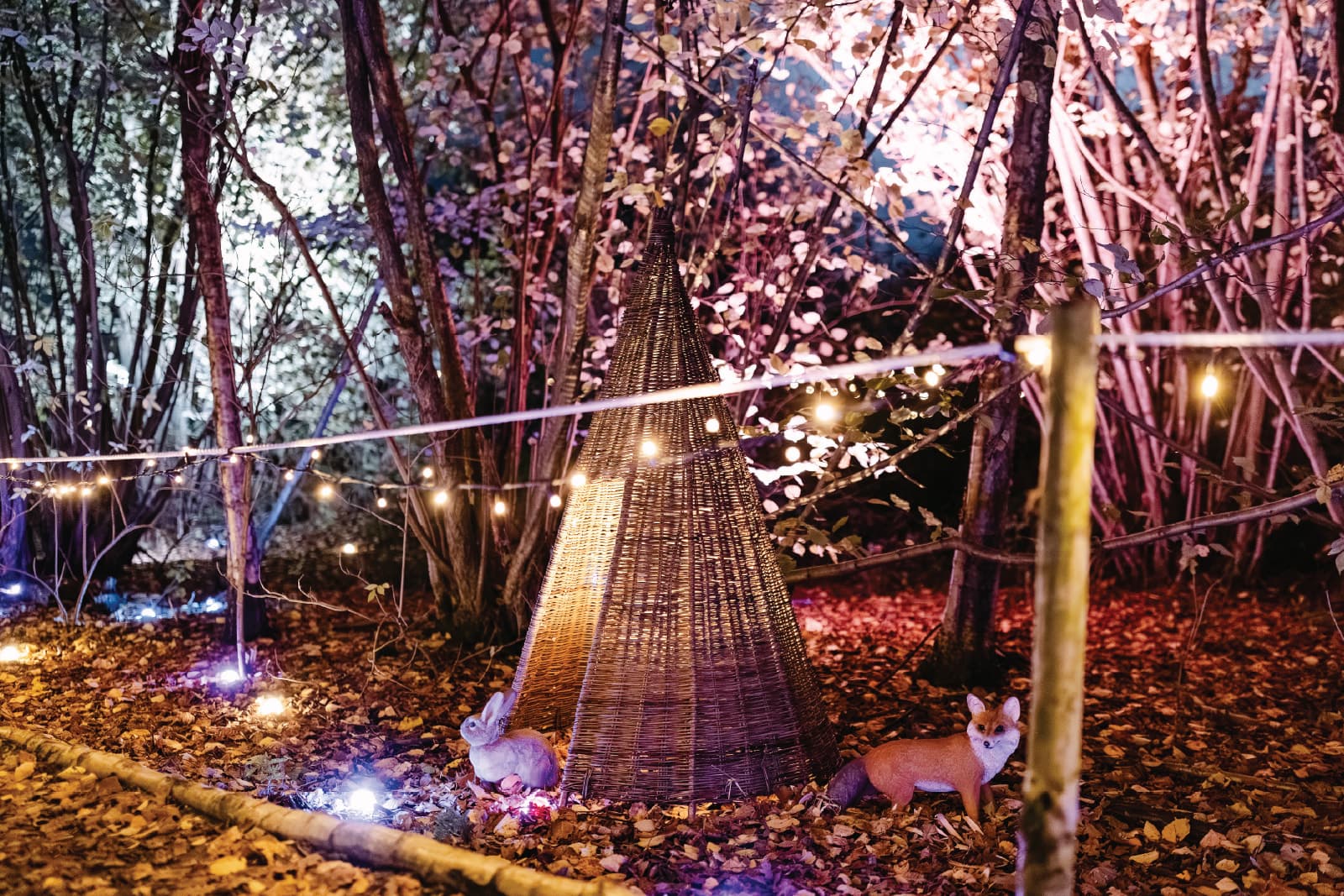 A fairy-lit woodland glade at night, with a willow wigwam and woodland animals, at Christmas at Bewl Water